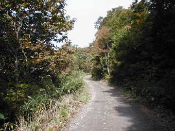 大窪林道