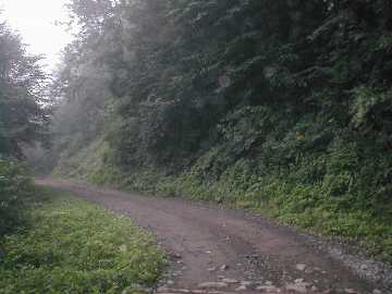 中津川林道