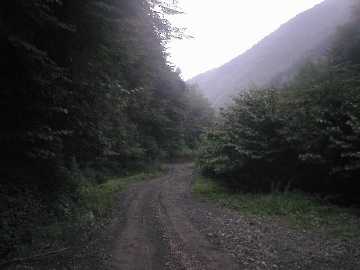 中津川林道