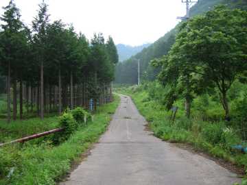 菅の沢林道