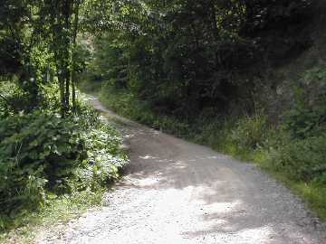 町道高峰線