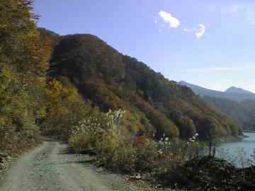 馬坂林道