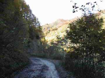 馬坂林道
