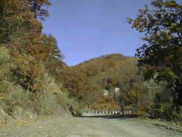 馬坂林道