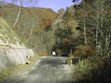 馬坂林道