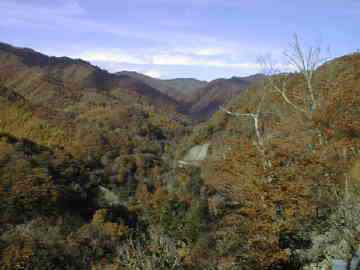 馬坂林道