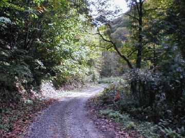 玉川林道