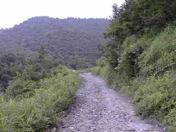 多々石林道