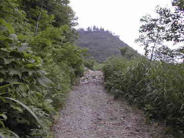 多々石林道