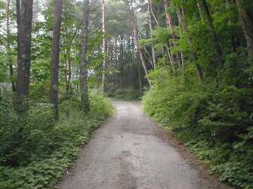 村道鳥居峠線