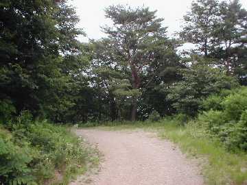 村道鳥居峠線