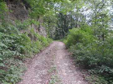 東農林道