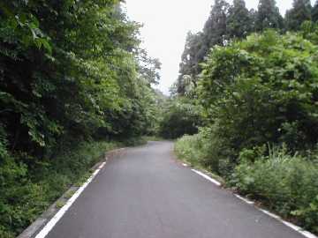 西前高原林道