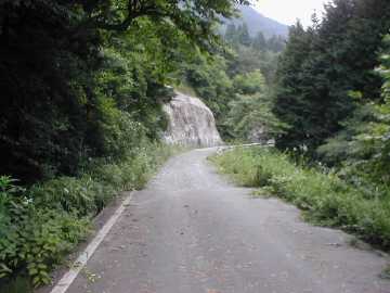 西前高原林道