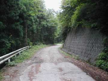 西前高原林道