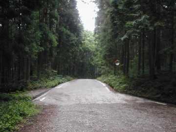 西前高原林道