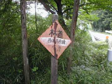 西前高原林道