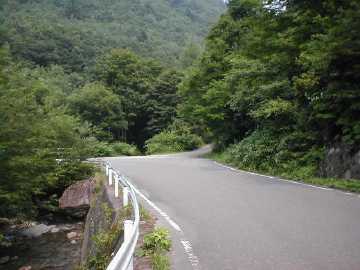 月夜沢林道