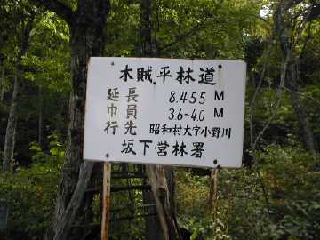 木賊平林道