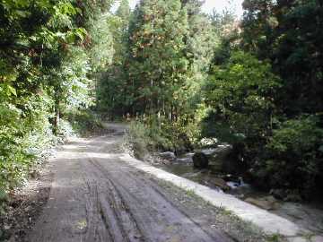 木賊平林道