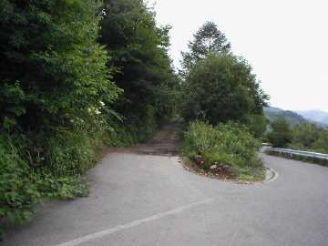 蝶ヶ原林道