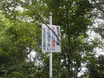 蝶ヶ原林道