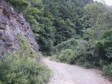 蝶ヶ原林道