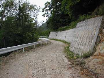 蝶ヶ原林道