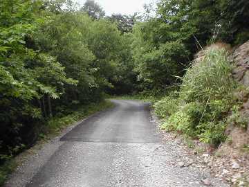 蝶ヶ原林道