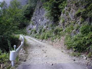 蝶ヶ原林道