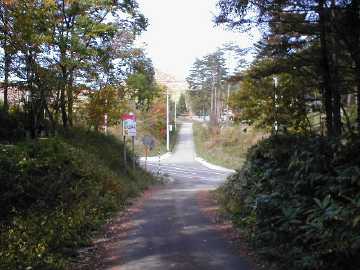 姥袖林道