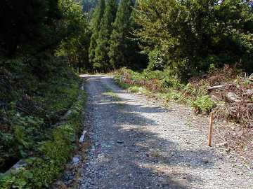 漆峠林道