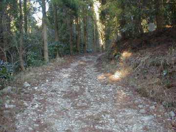 上横谷三ツ岩林道