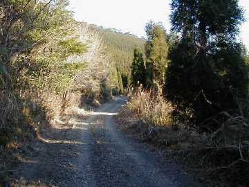 上横谷三ツ岩林道