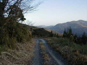 上横谷三ツ岩林道