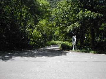 八ヶ岳林道
