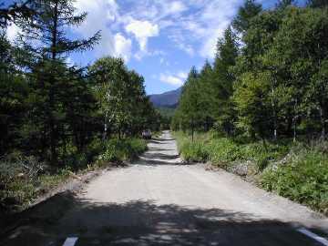 八ヶ岳林道
