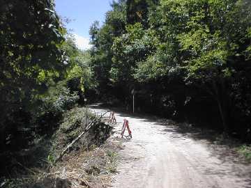 八ヶ岳林道