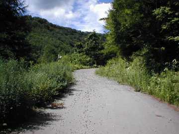 八ヶ岳林道