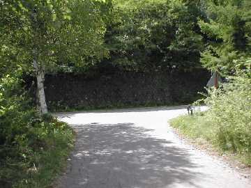 八ヶ岳林道