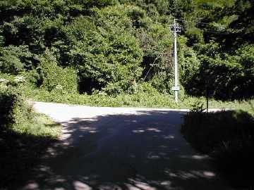 八ヶ岳林道（茨沢林道）