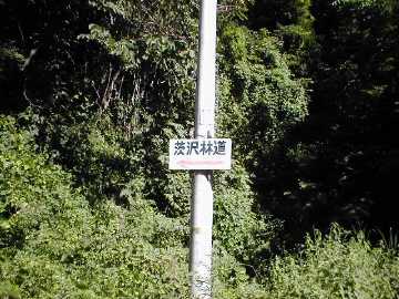 八ヶ岳林道（茨沢林道）