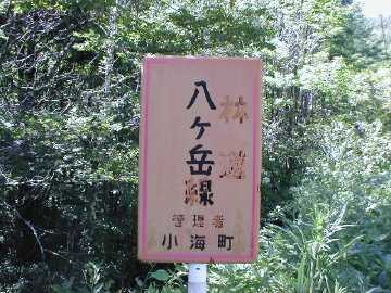 八ヶ岳林道（茨沢林道）