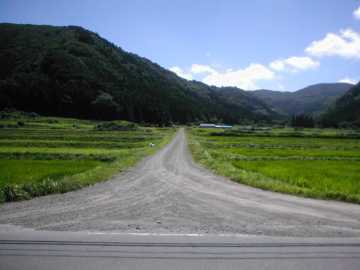横沢舘林道