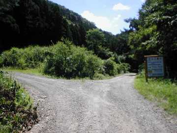 横沢舘林道