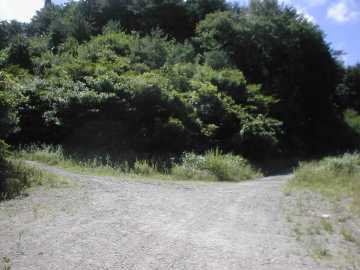 横沢舘林道