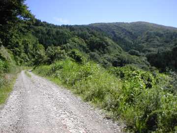横沢舘林道