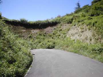 横沢舘林道