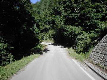 妙高小谷林道
