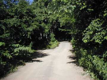 妙高小谷林道